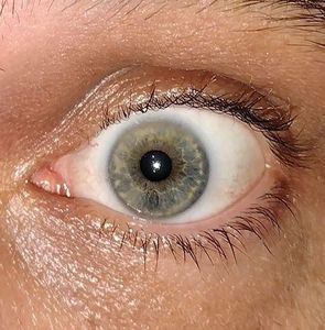 Meet your Posher, Jesse